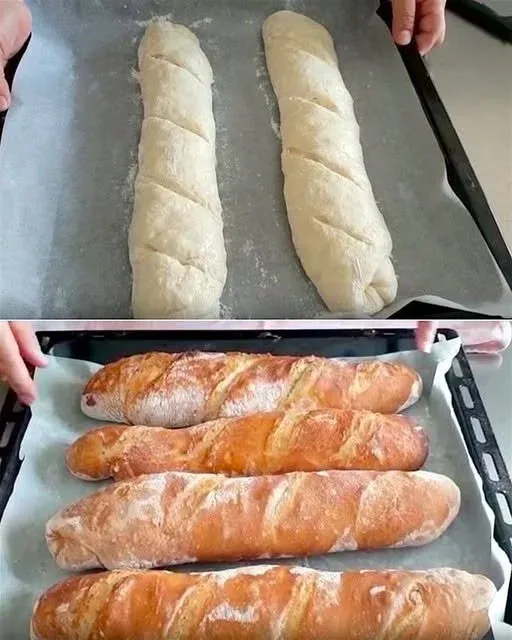 Pasta Fatta in Casa
